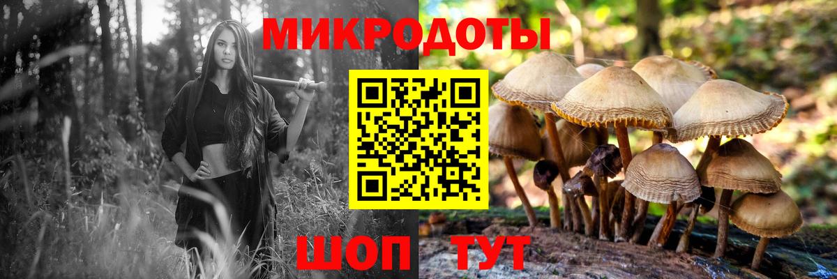 Галлюциногенные грибы мухоморы Владивосток
